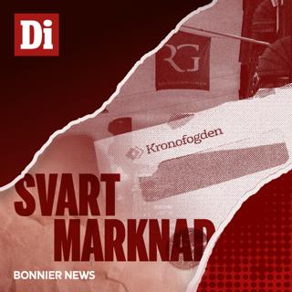 De granskade toppadvokaterna i konkursvågen
