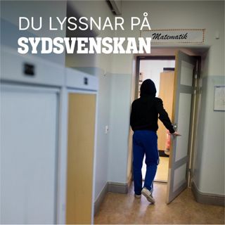 Är skolsegregationen medelklassens fel?