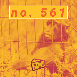 The Free Cheese Episode 561: Ape Escape