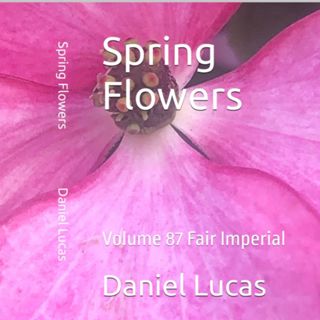 Spring Flowers Volume 87 Fair Imperial by Daniel Lucas