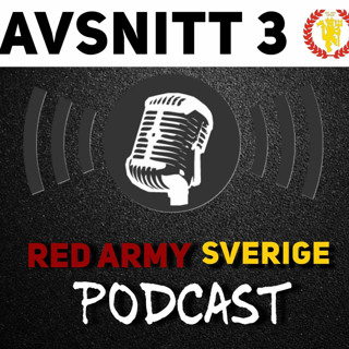 Avsnitt 3 - VÄLGÖRENHETSORGANISATIONEN