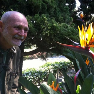 Tips on Developing Full-minded Awareness with Concentration (Stage 5) - Culadasa
