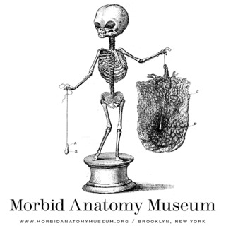 The Morbid Academy Series, with Mitch Horowitz