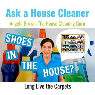 Should You Wear Shoes in the House? How About Indoor Shoes?