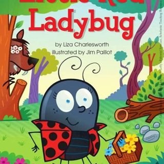 Little Red Ladybug