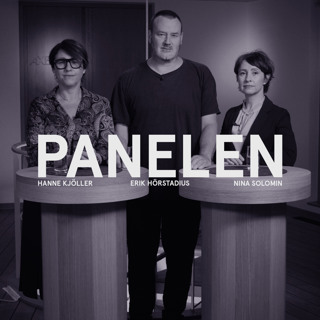 47. Panelen 2022 - Nu går Nato-tåget, rekordår för dödsskjutningar och Liberalernas nya partiledare