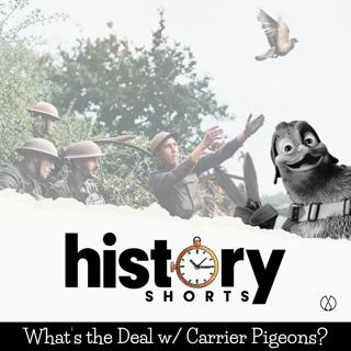 What's the Deal w/ Carrier Pigeons?