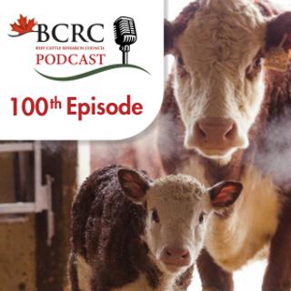 Episode 100: Special Edition - Calving Season in Focus