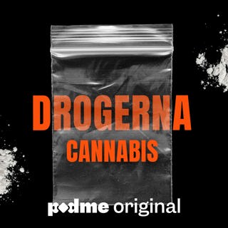 När Cannabis kom till Sverige – från flum till wellness