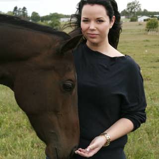 Hästhandlaren som åkte i fängelse