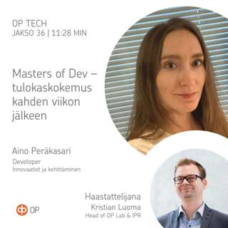 #36 – Masters of Dev – tulokaskokemus kahden viikon jälkeen