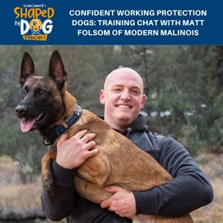 Confident Working Protection Dogs: Training Chat With Matt Folsom of Modern Malinois #211