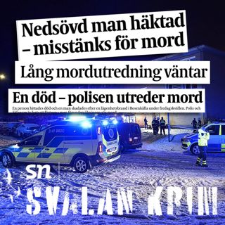 Vansinnesmordet i Rosenkälla