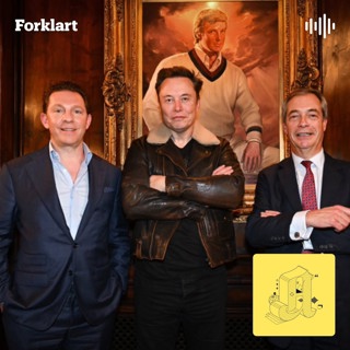 Derfor lefler Musk med Europas ytre høyre