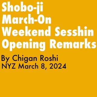 2024.03.08 - Opening Remarks By Chigan Roshi, NYZ March - On Sesshin