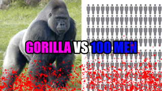 Gorilla VS 100 Men & Motor City Major Needs You- Ep. 471