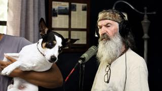 Bobo Saved the Day—and Nearly Lost an Eye