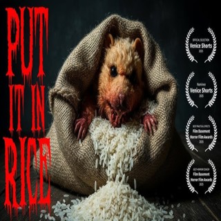 (VIDEO) ENTERTAINING SHORT FILMS: PUT IT IN RICE (HORROR)