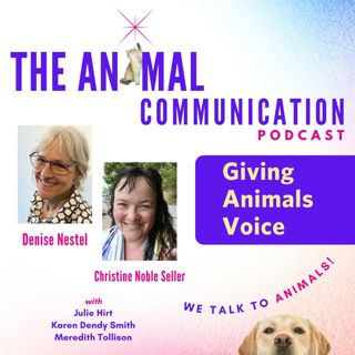 Giving Animals Voice