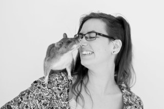 Haylee Ellis, APOPO land mind and tuberculosis detection rats Using clicker training to save lives