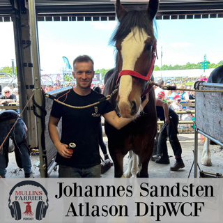 Johannes Sandsten Atlason DipWCF