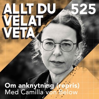525 Om anknytning med Camilla von Below (repris) - anknytningsmönster bestämmer hur vi formar relationer som vuxna