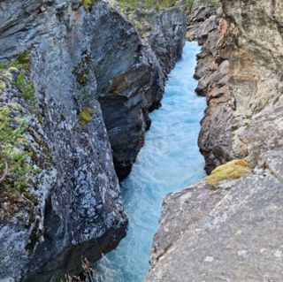 Skogsfredag #177 - Är Close to Nature farligt och få betalt för annat än virke