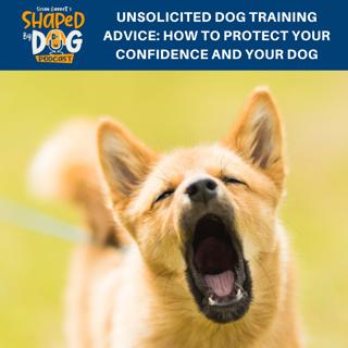 Unsolicited Dog Training Advice: How To Protect Your Confidence And Your Dog #163