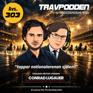 Avs. 303 - ”tappar nationalarenan själen?”