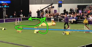 212: Do You Really Need Video Analysis?