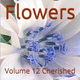 Spring Flowers Volume 12 Cherished by Daniel Lucas.