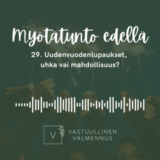 29. Uudenvuodenlupaukset, uhka vai mahdollisuus?