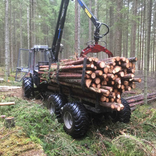 Avsnitt 28 - Gallring, tomtförsäljning och bekämpning av Örnbräken