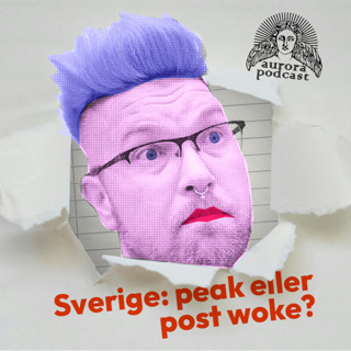 Sverige: peak eller post-woke?