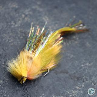 S7, Ep 39: East Tennessee Fishing Report: Weather, Caddis and Streamer Strategies with Ellis Ward