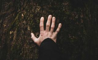 Go Touch a Tree: Why Reconnecting With Nature Matters | Shaz Audibert