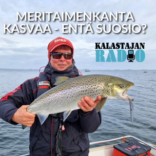 Meritaimenkanta kasvaa - entä suosio?