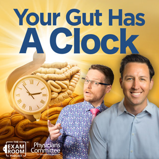 Reset Your Gut Clock: A Morning Routine for Energy | Dr. Will Bulsiewicz