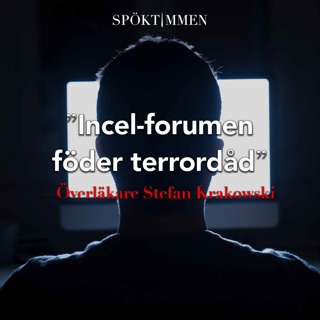 "Incel-forumen föder terrordåd" – Överläkare Stefan Krakowski