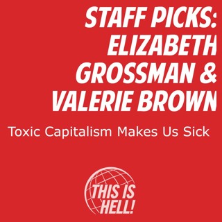 STAFF PICKS: Toxic Capitalism Makes Us Sick / Elizabeth Grossman & Valerie Brown