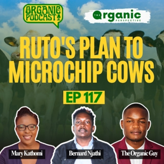 Ruto's Plan to Microchip Cows, Kenya’s Milk Crisis & WHY Twiga Collapsed | TOP Ep 117