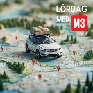 Så gick elbilssemestern genom Sverige