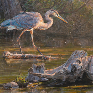 Local art museum opens new “Art & the Animal” exhibit
