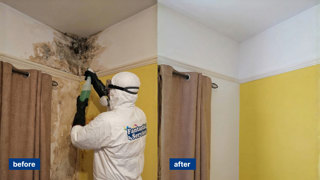 Fantastic Services Unveils New Report Warning Private Landlords Over Rising Legal Exposure to Damp and Mould Claims
