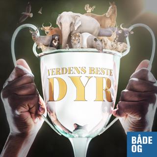 verdens-beste-dyr