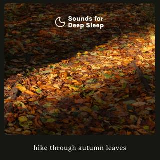 Hike Through Autumn Leaves