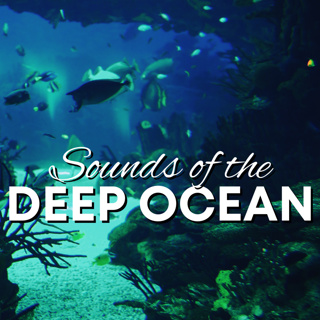 ASMR | DEEP OCEAN AMBIENCE - Atmosphere for Insomnia, Anxiety, & Depression