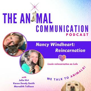 Animal Reincarnation with Nancy Windheart