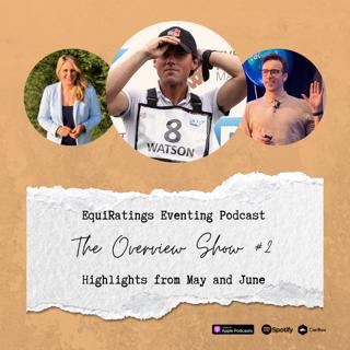 The Overview Show #2