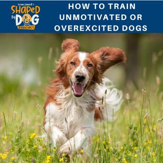 How to Train Unmotivated or Overexcited Dogs #86